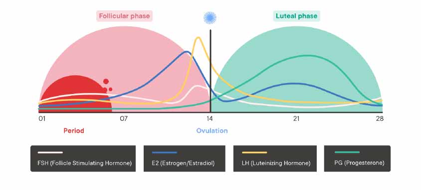 Rapid FSH test – Device (Urine)